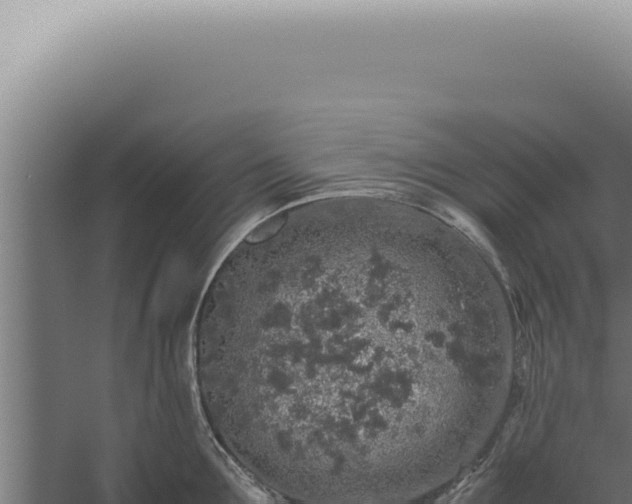 X0000060260907200511041346