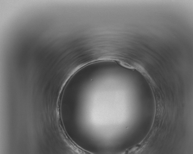 X0000060260908200511041346