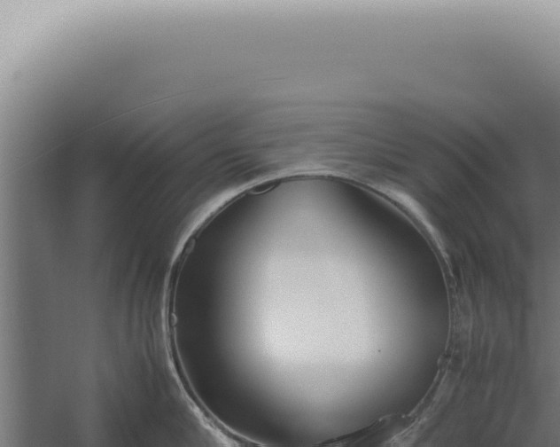 X0000060260910200511041346