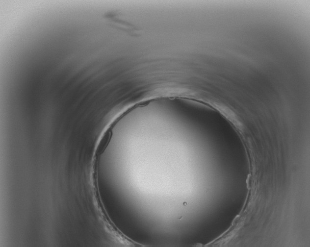 X0000060260912200511041346