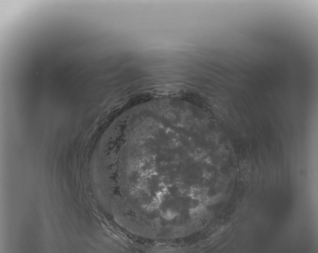 X0000060260913200511041345