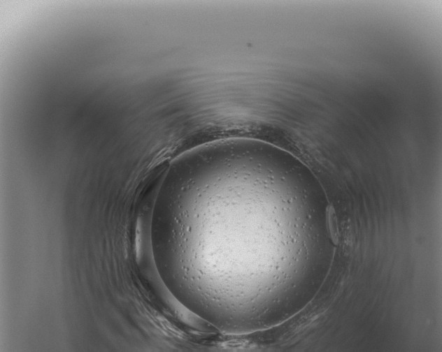 X0000060260916200511041345