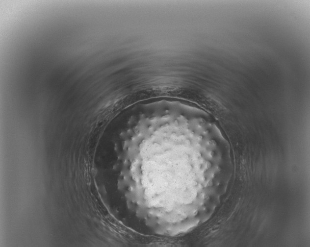 X0000060260917200511041345