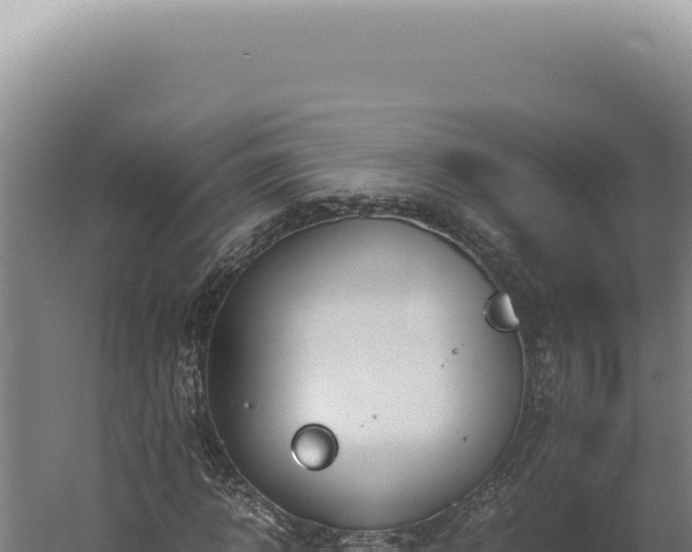 X0000060260918200511041345