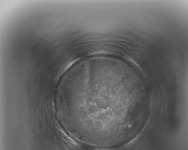 X0000060260921200511041345