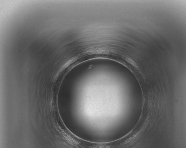 X0000060260922200511041345