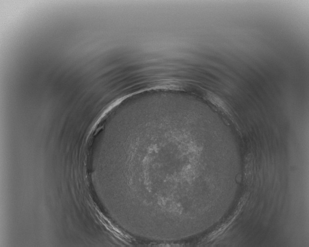 X0000060260923200511041345