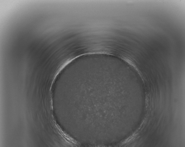 X0000060260925200511041345