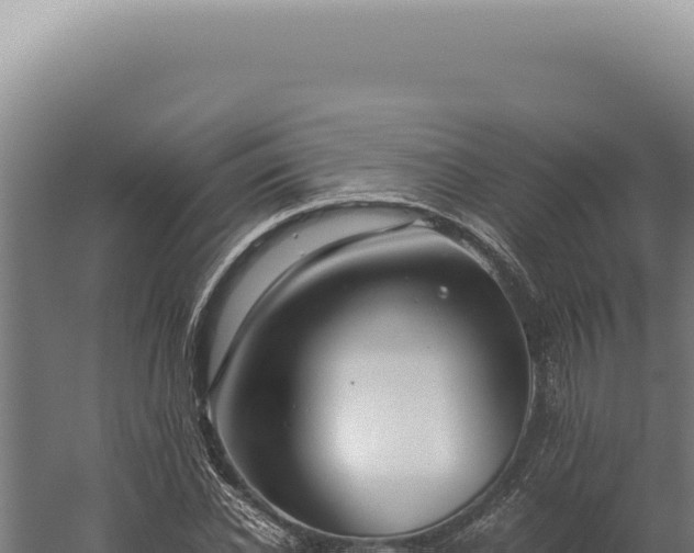 X0000060260926200511041345