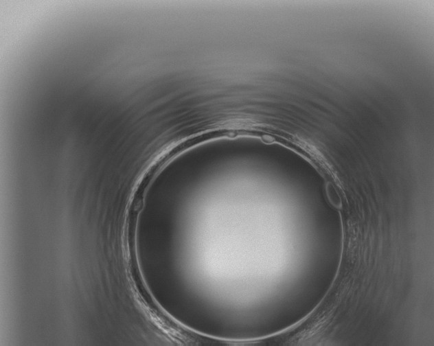 X0000060260939200511041345