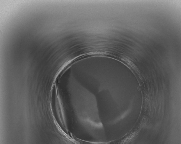 X0000060260941200511041345