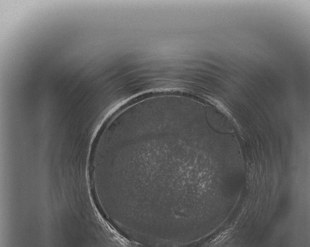 X0000060260943200511041345