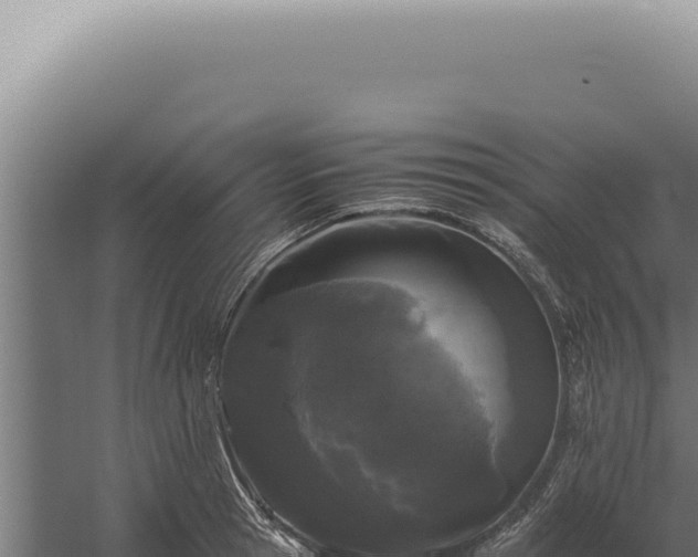 X0000060260945200511041345