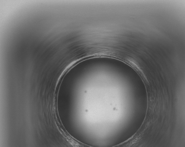 X0000060260948200511041346