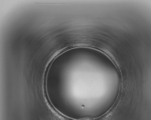 X0000060260949200511041346