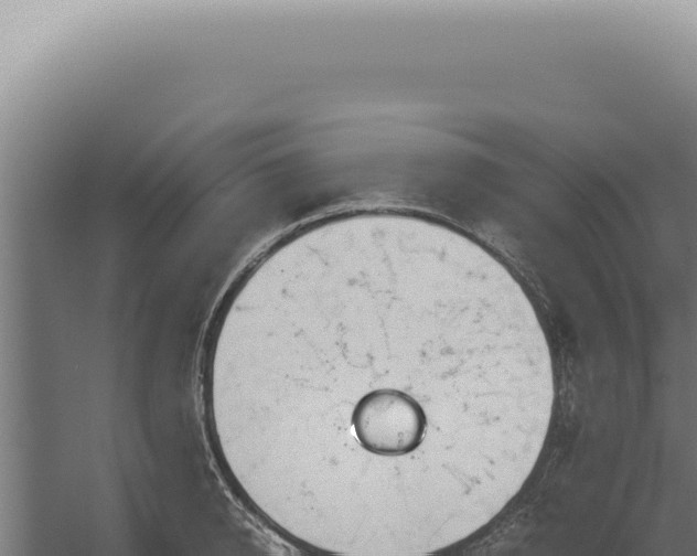 X0000060260950200511041346