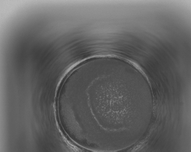 X0000060260951200511041346