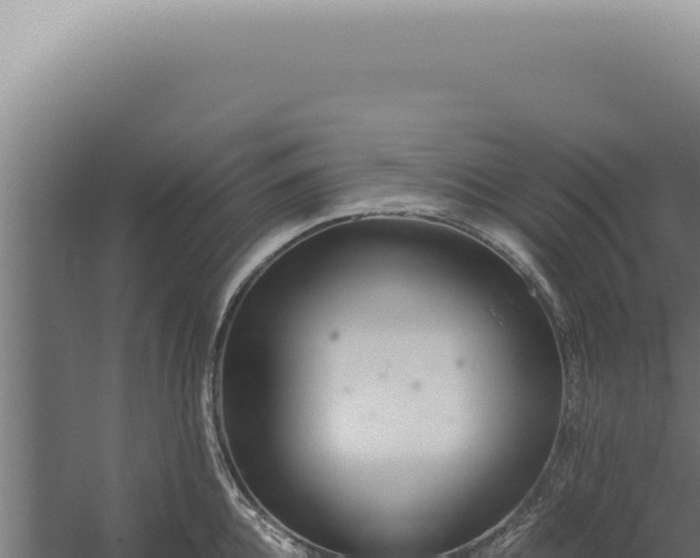 X0000060260952200511041346