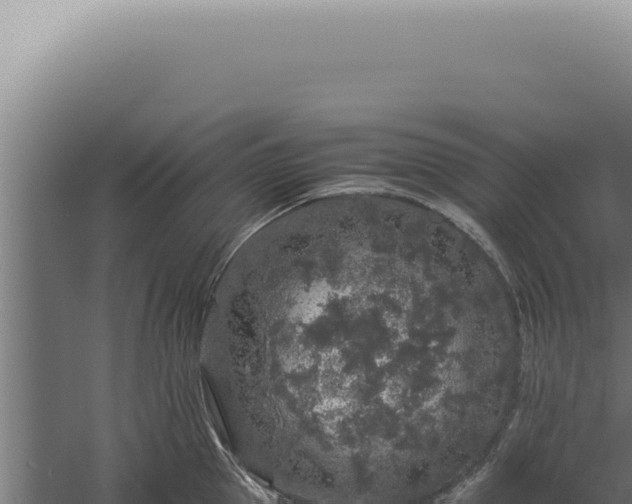 X0000060260953200511041346