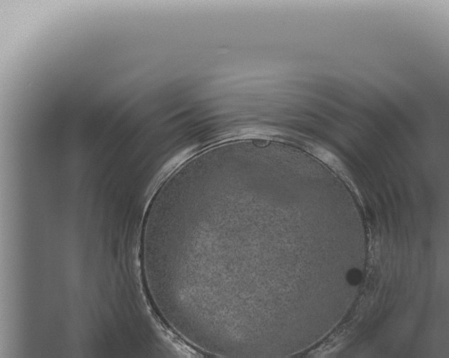 X0000060260954200511041346