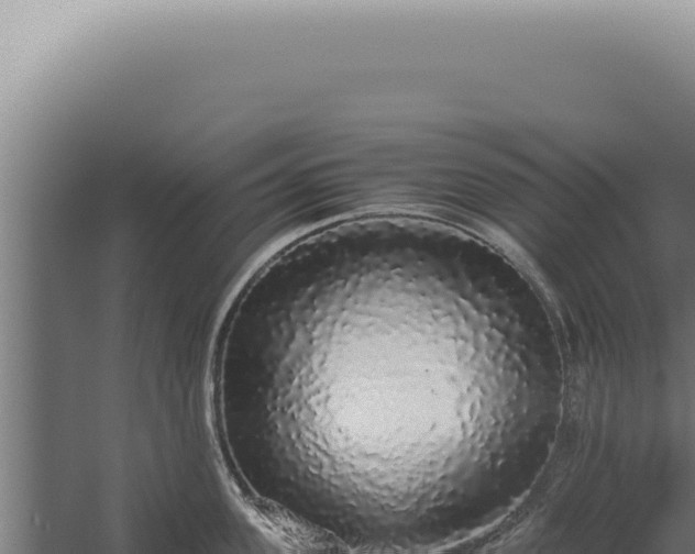 X0000060260955200511041346