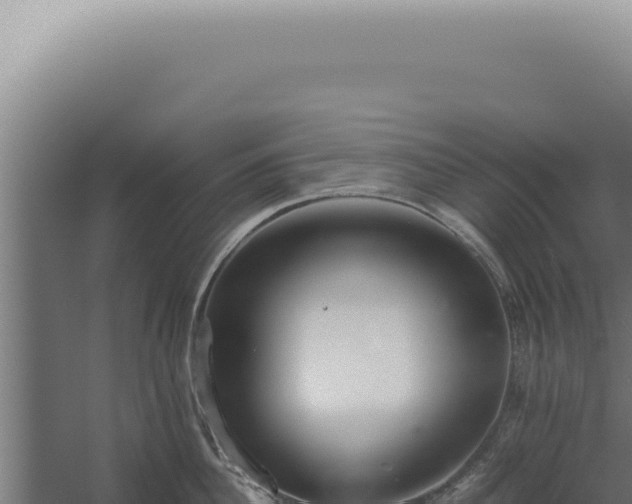 X0000060260956200511041346