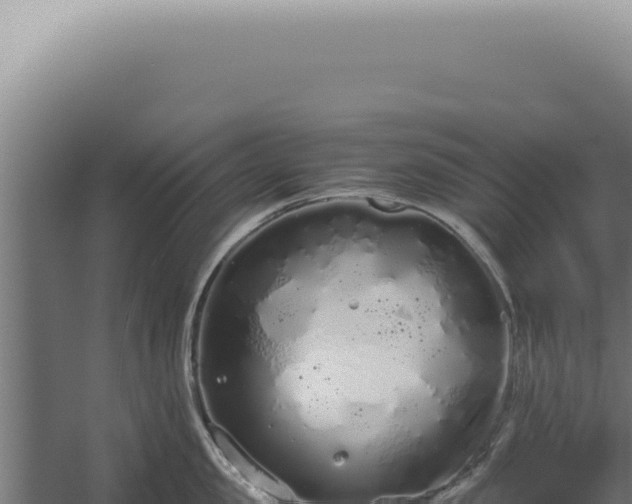 X0000060260957200511041346