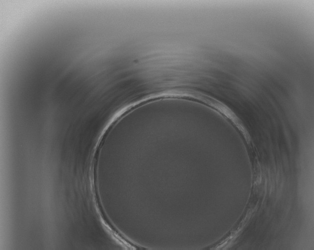 X0000060260958200511041346