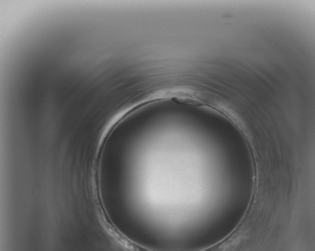 X0000060260960200511041346