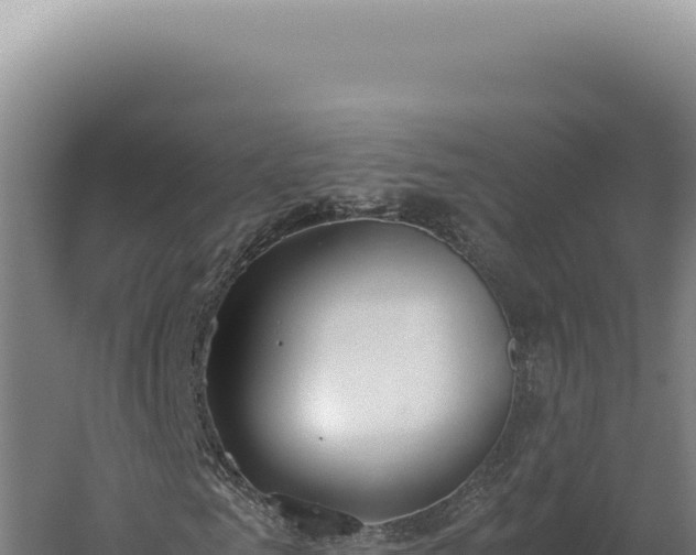 X0000060260961200511041345