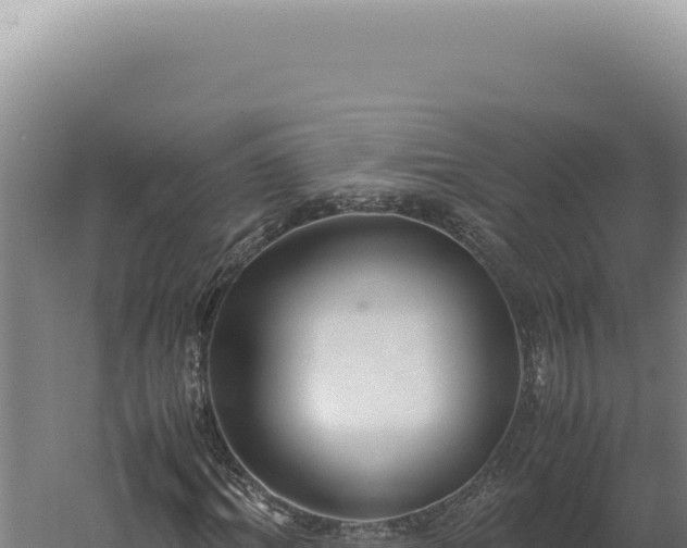 X0000060260964200511041345