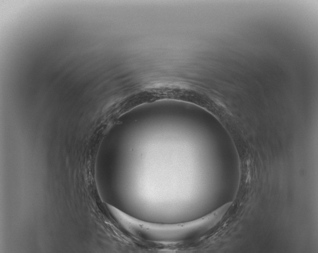 X0000060260965200511041345