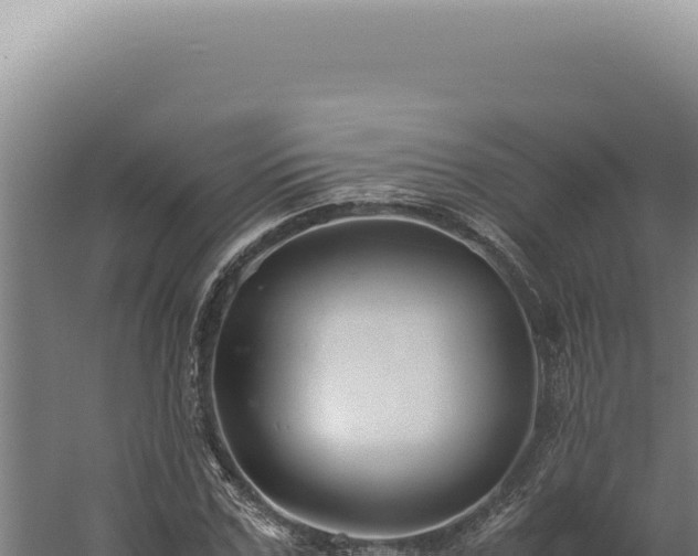 X0000060260971200511041345