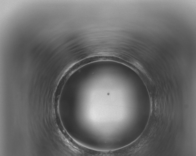 X0000060260972200511041345