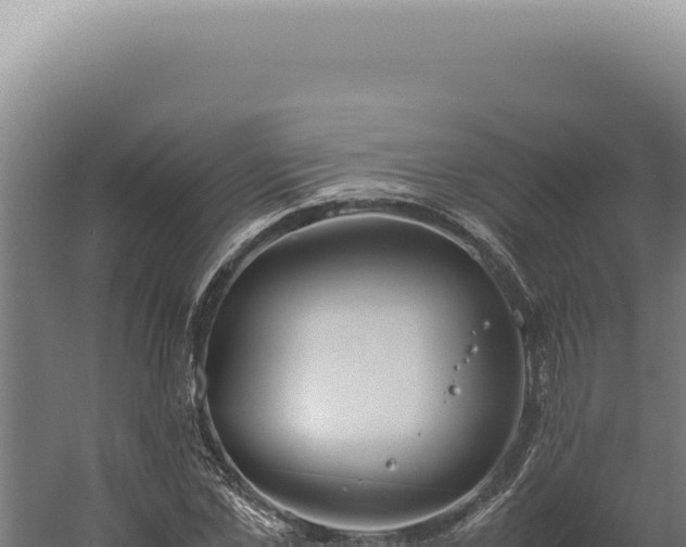 X0000060260973200511041345