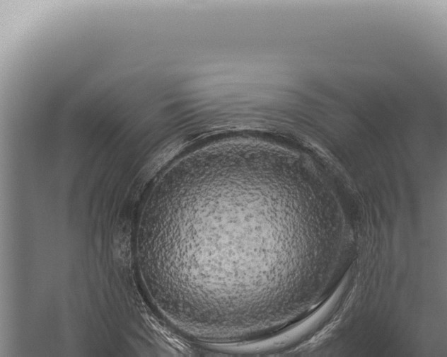 X0000060260977200511041345