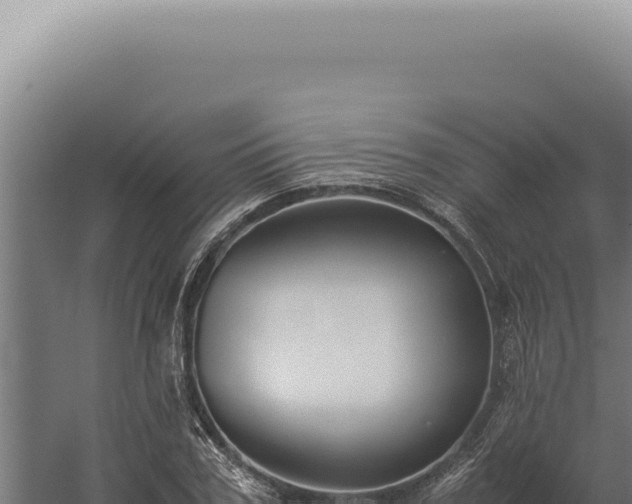 X0000060260979200511041345