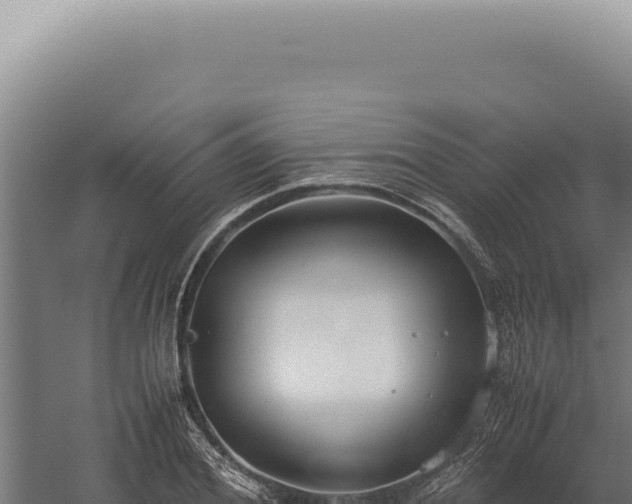 X0000060260980200511041345