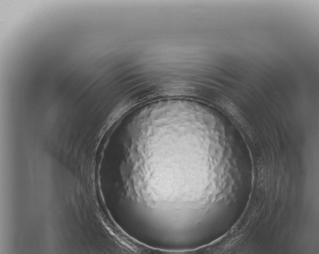 X0000060260986200511041345