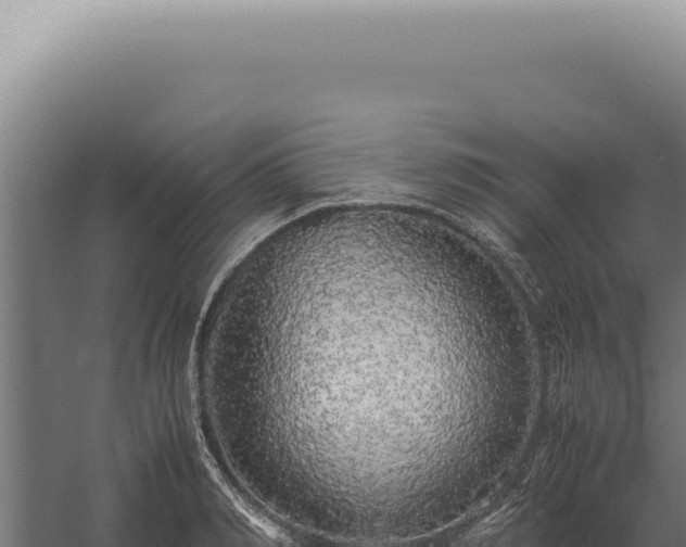 X0000060260990200511041344