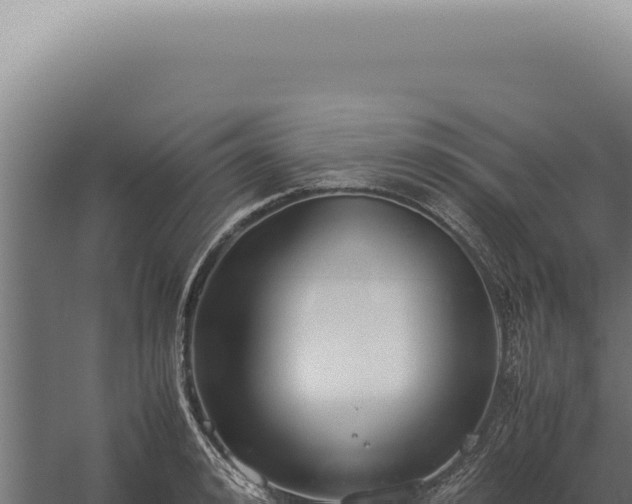 X0000060260992200511041344