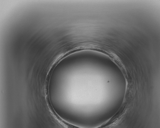 X0000060260997200511041344