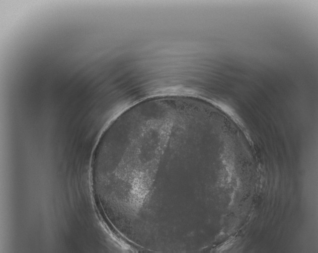 X0000060260998200511041344