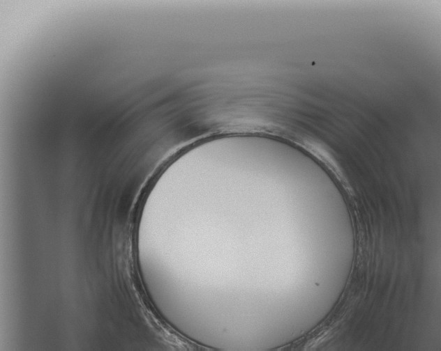 X0000060261000200511041344