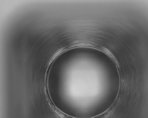 X0000060261002200511041344