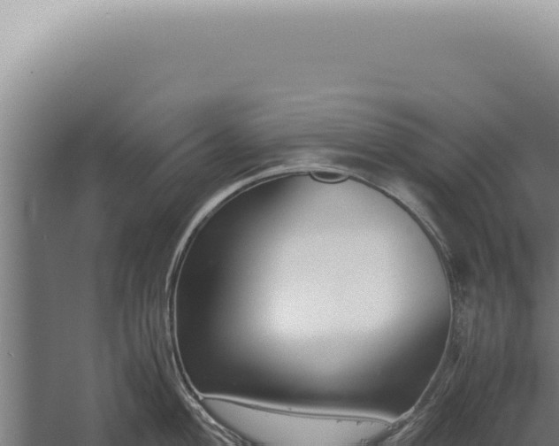 X0000060261004200511041344