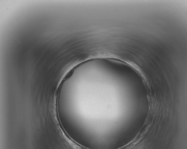 X0000060261006200511041344