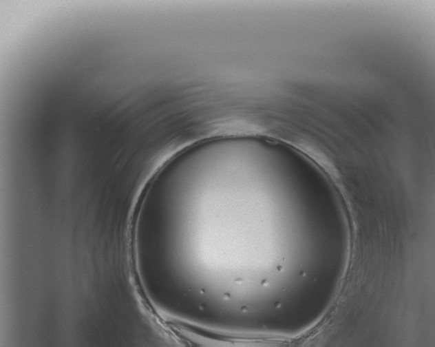 X0000060261008200511041344