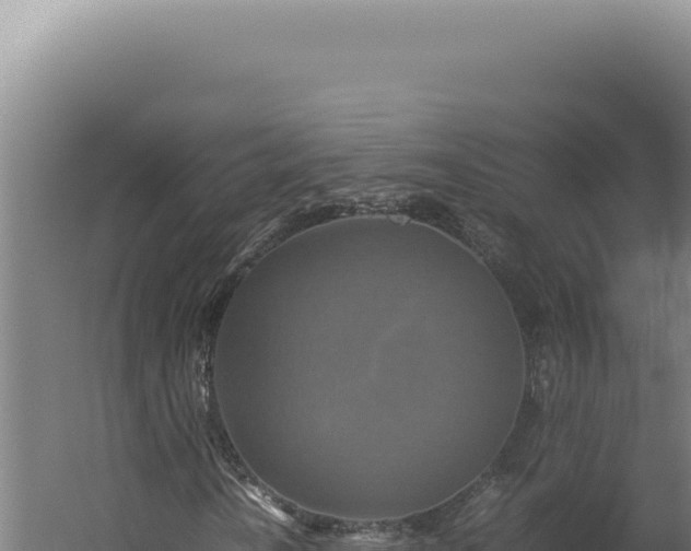 X0000060261010200511041343