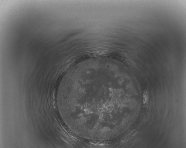 X0000060261011200511041343